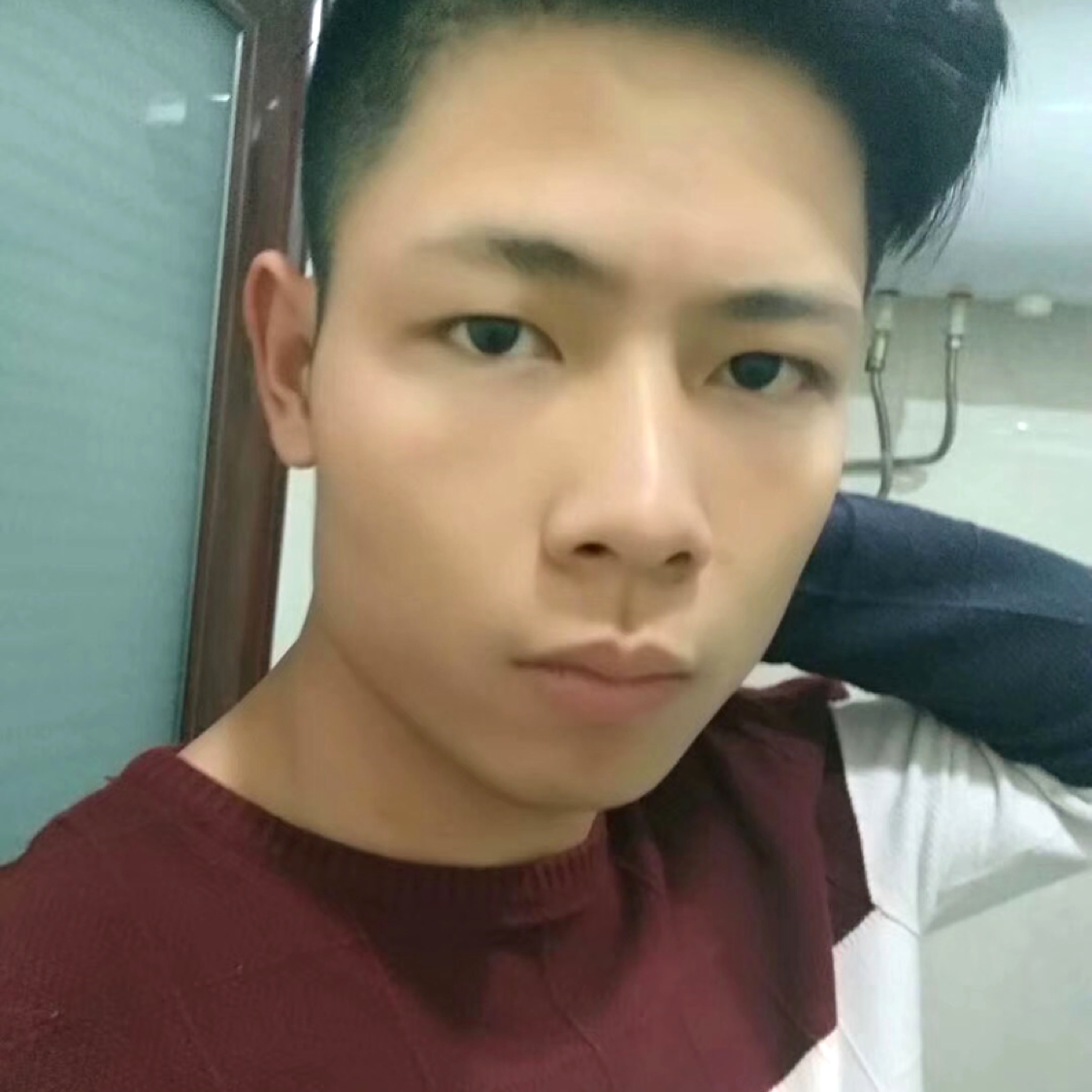 乌龟迎甜美的照片