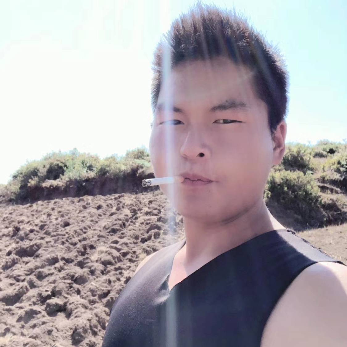 彼年拾忆灰狼的照片