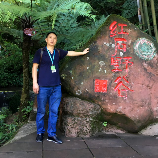 金剑寒梅的照片