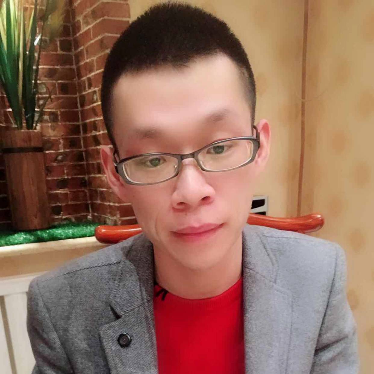 黯然和翅膀的照片