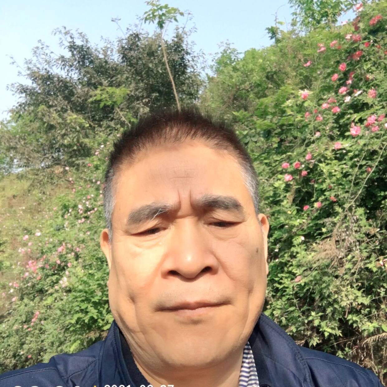 林木先生的照片