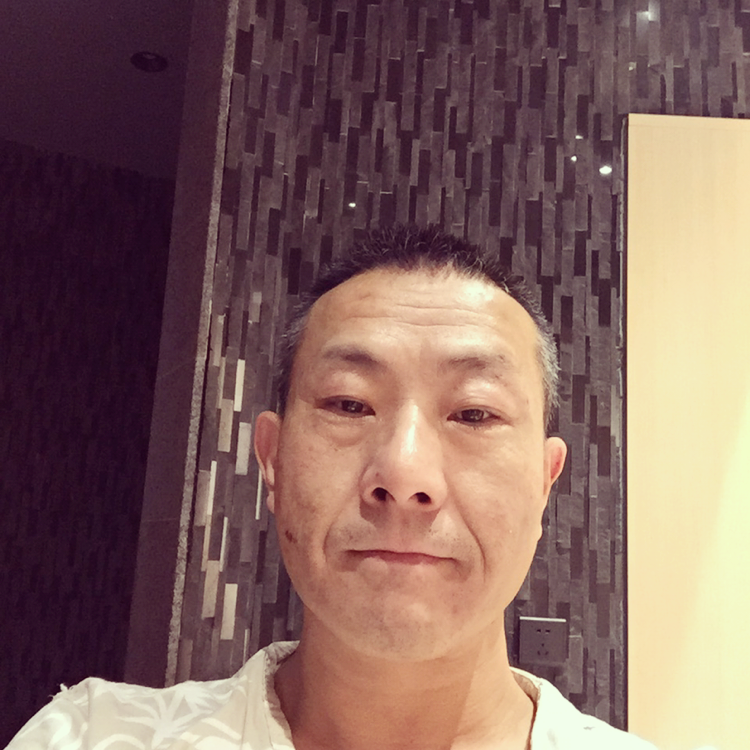 森林木+的照片