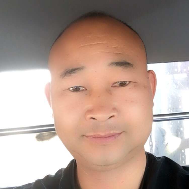 沙漠之夏的照片