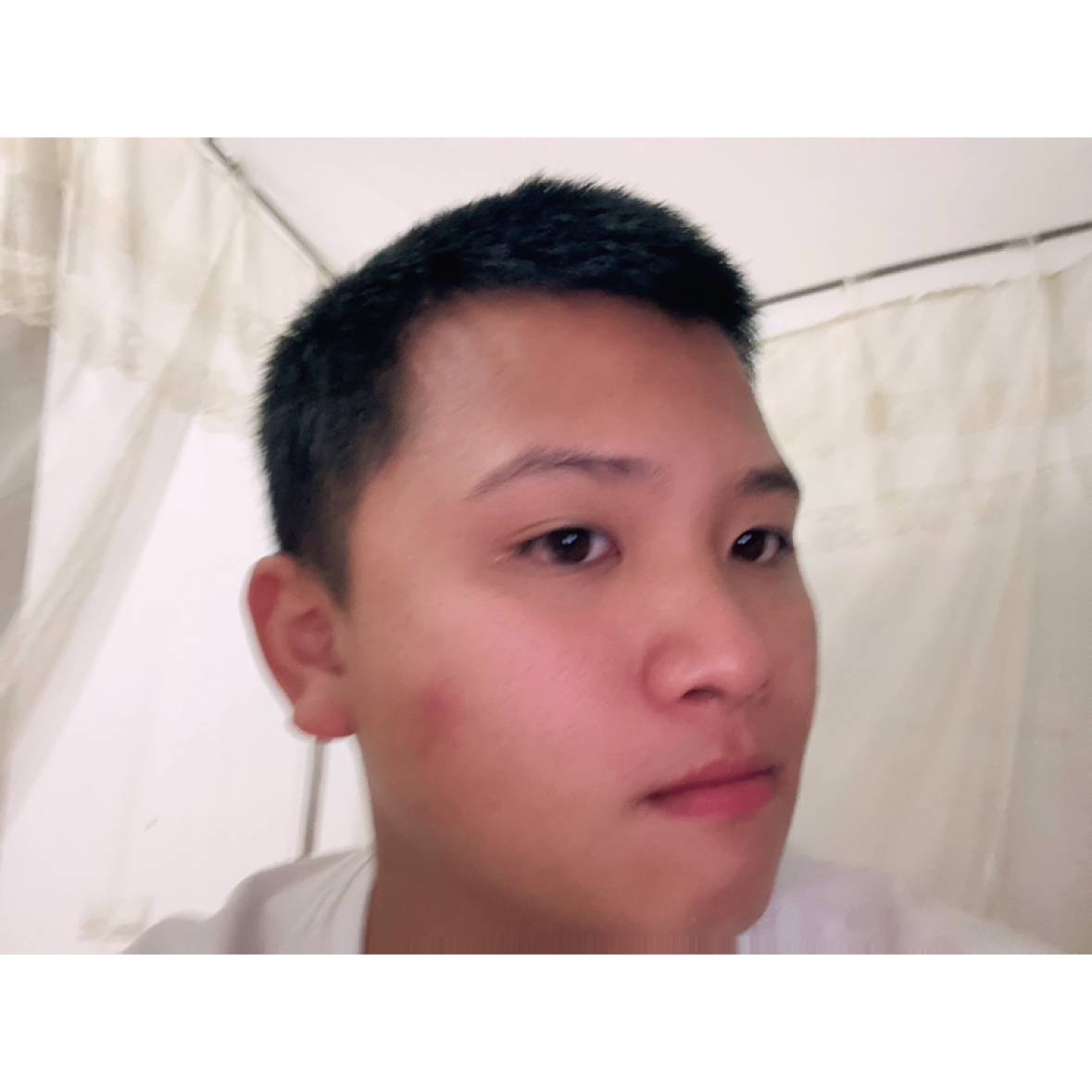 木木不吃瓜的照片