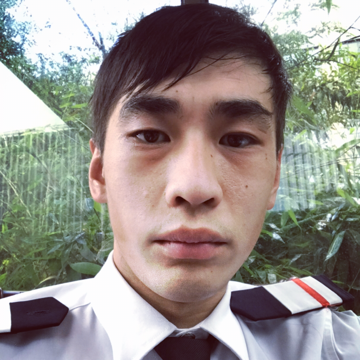 糊涂向大山的照片