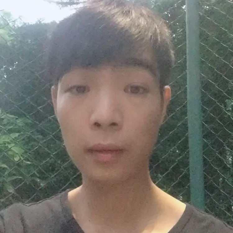孤單停止发夹的照片