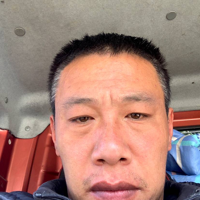 白猫蹁跹俏皮的照片