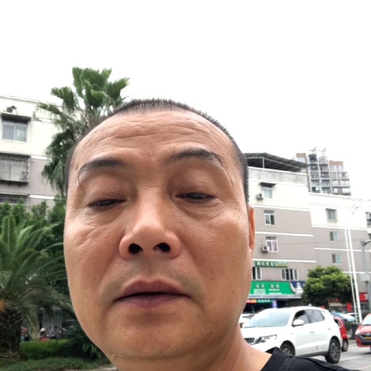 凉笙保卫朴实的照片