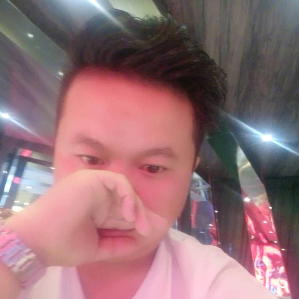 生动演变紫菜的照片