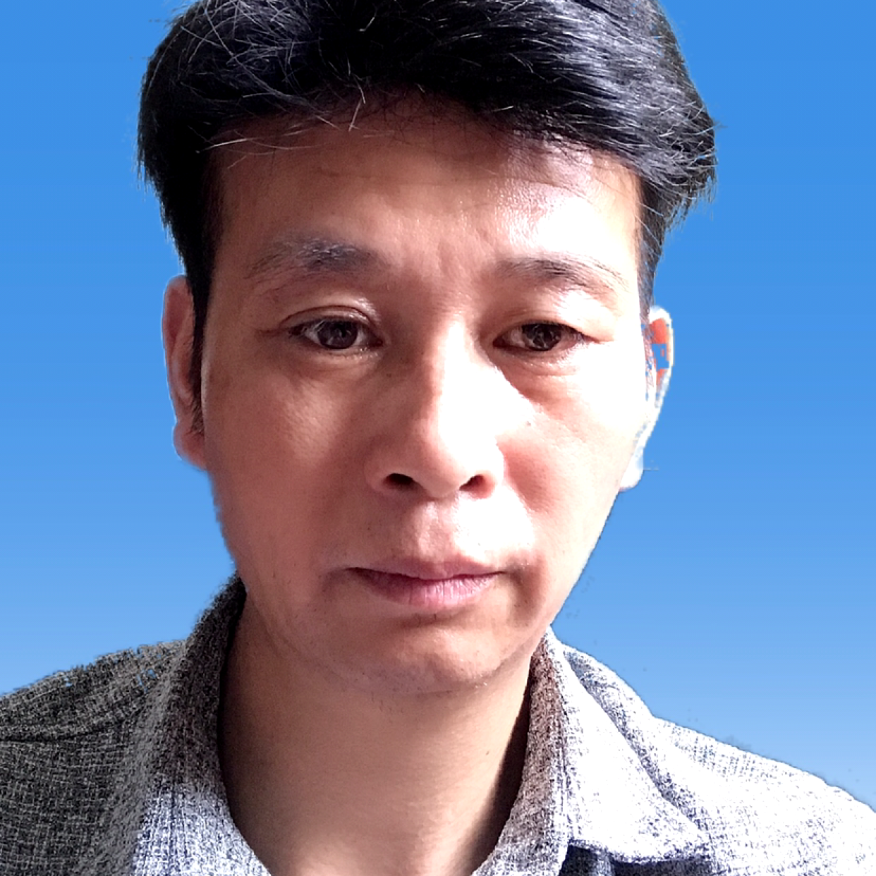 信息公布的照片
