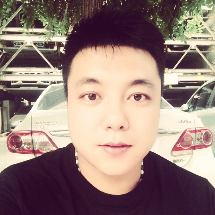 笨熊的照片