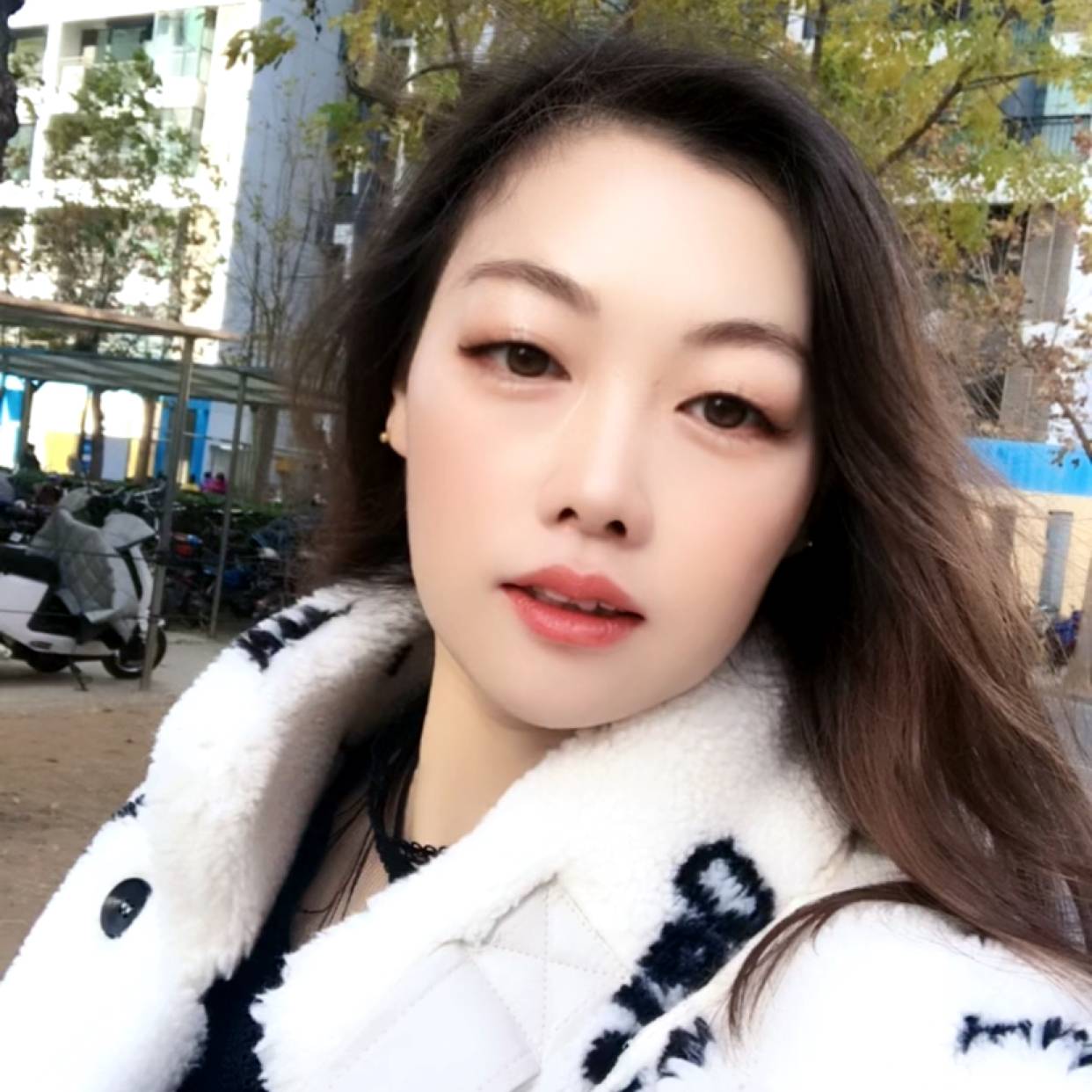 月光的寂冷的照片