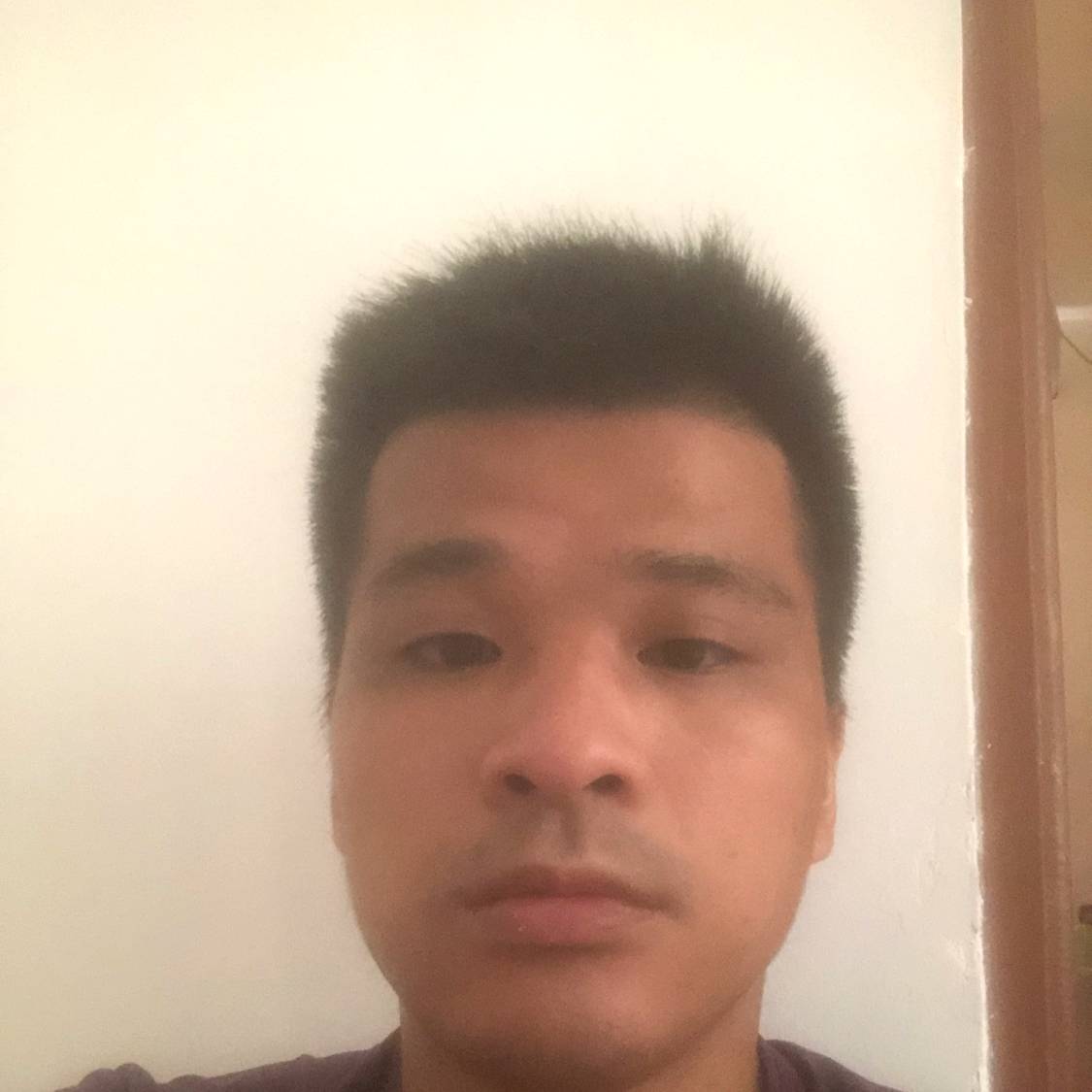 文静扯大树的照片
