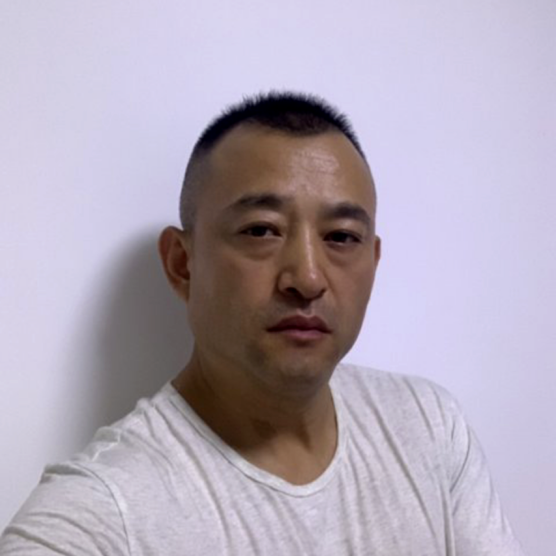 一只白鸟的照片