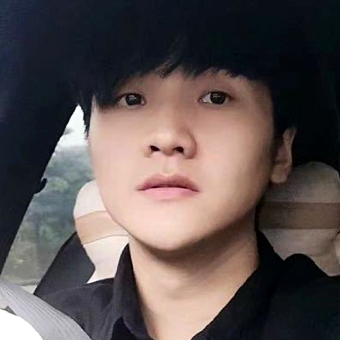 格豪的照片