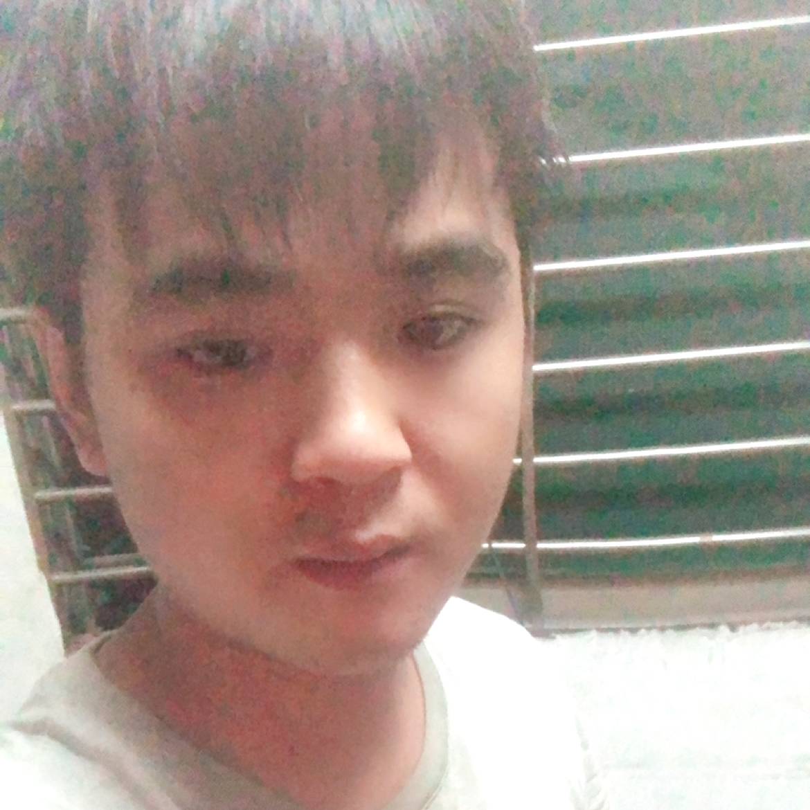 积极de猫猫的照片