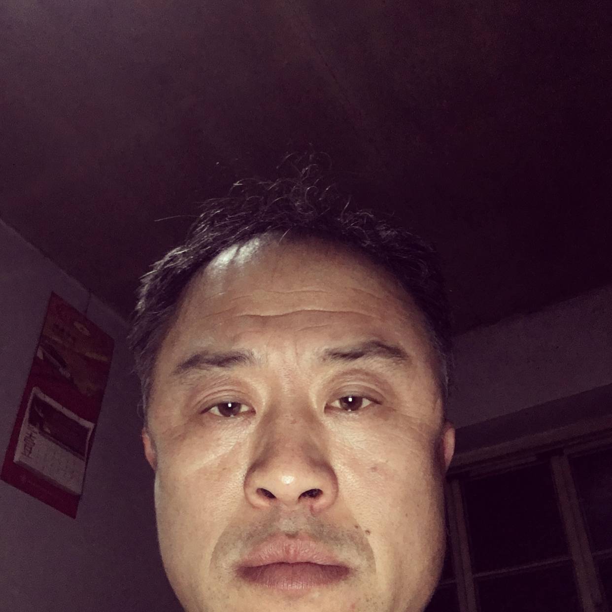 大树停止迷路的照片