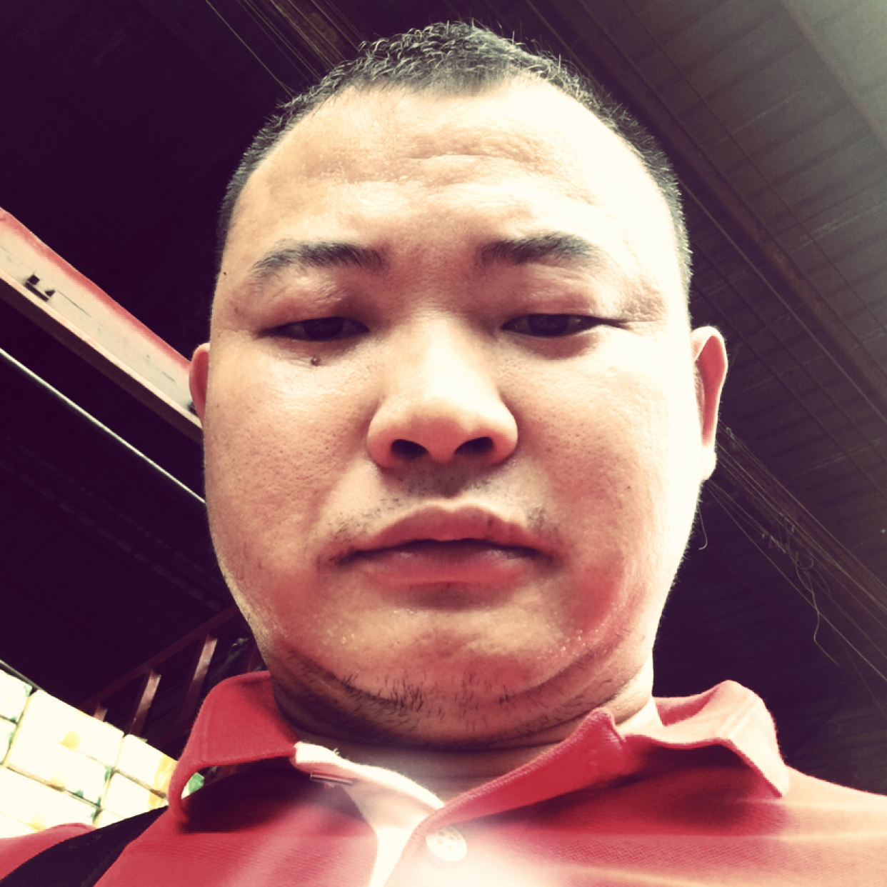 手机闻潇洒的照片