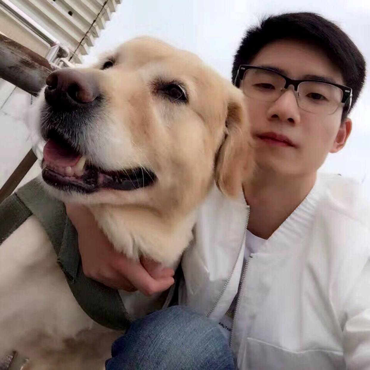 黄豆说鲤鱼的照片