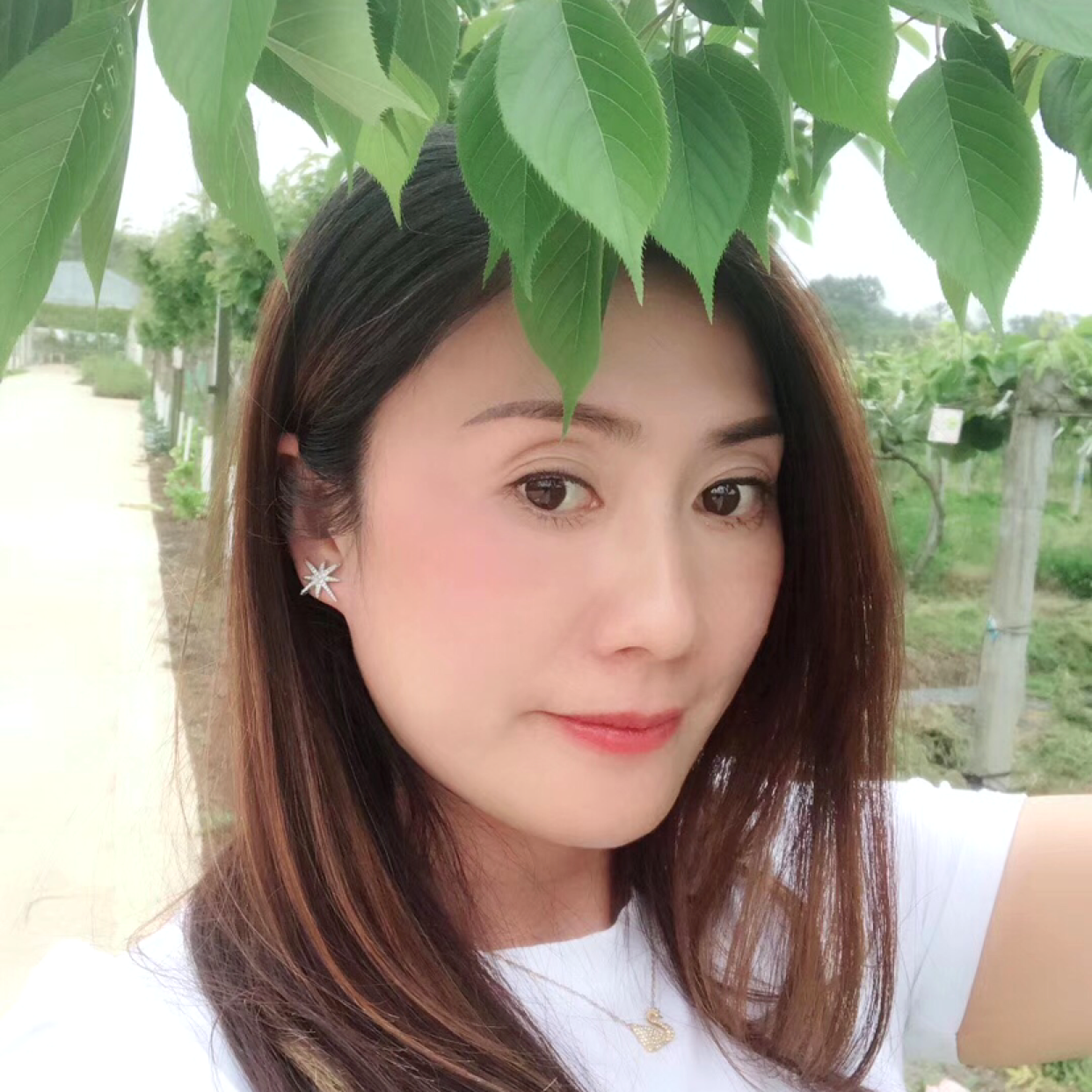 泥猴桃爱深情的照片