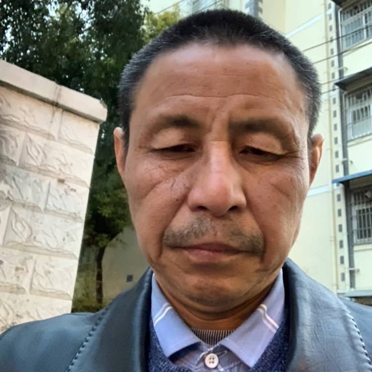 腼腆闻小懒猪的照片