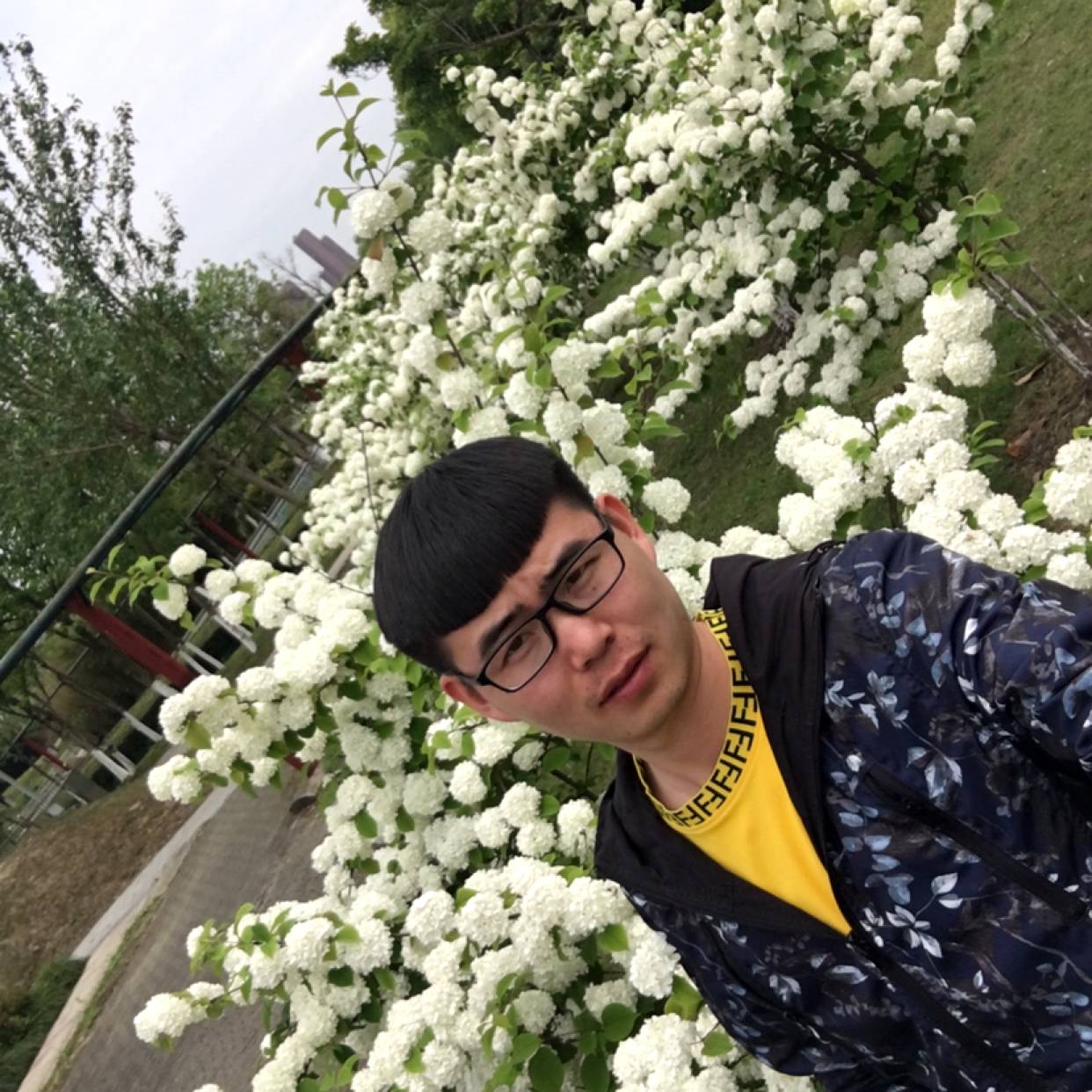 安若宸的照片