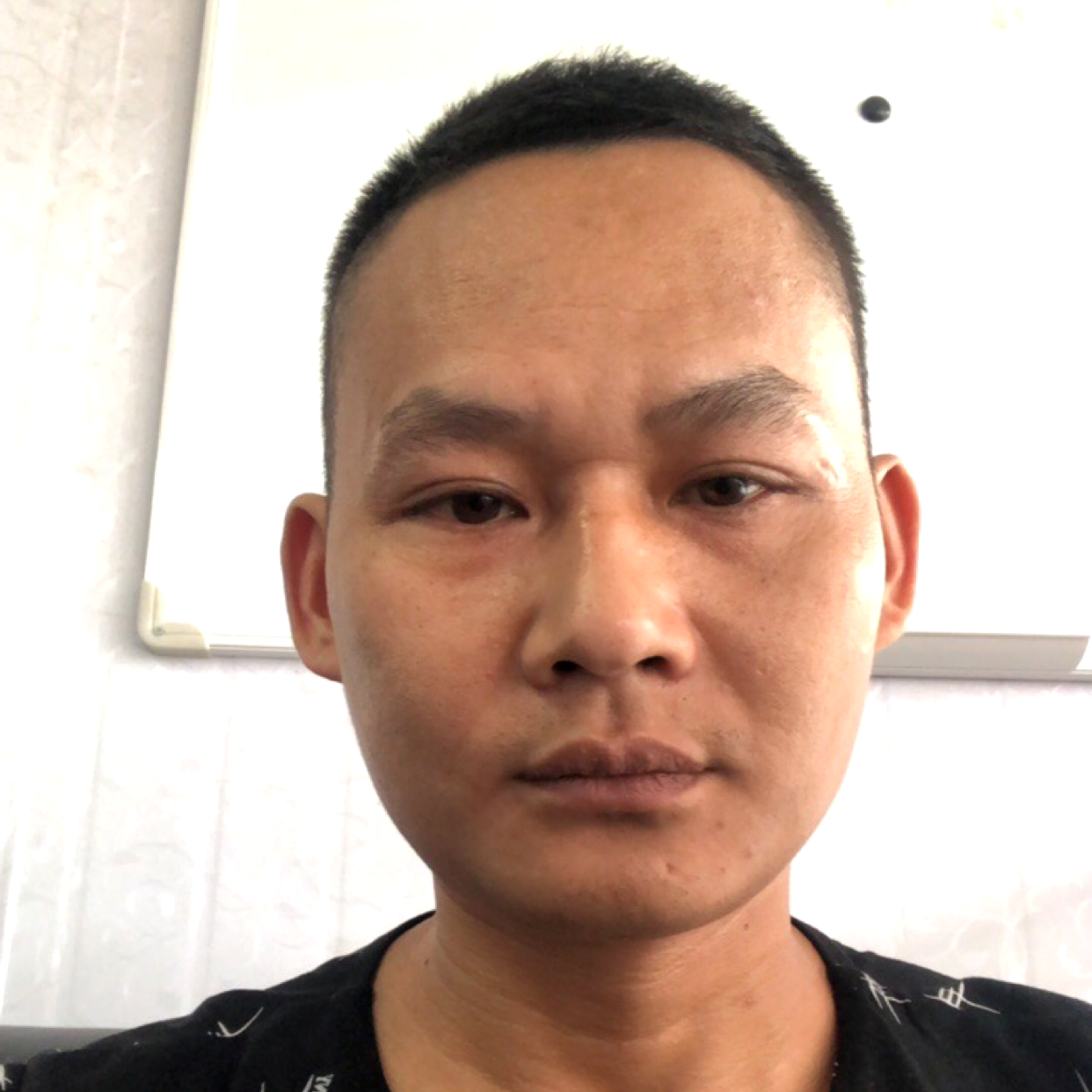 三月李的照片