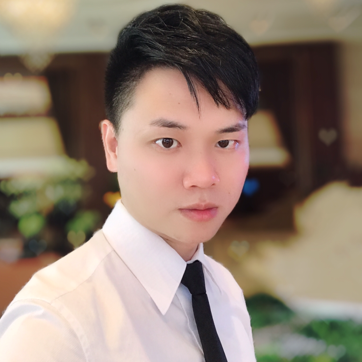 TZT一叶之秋的照片