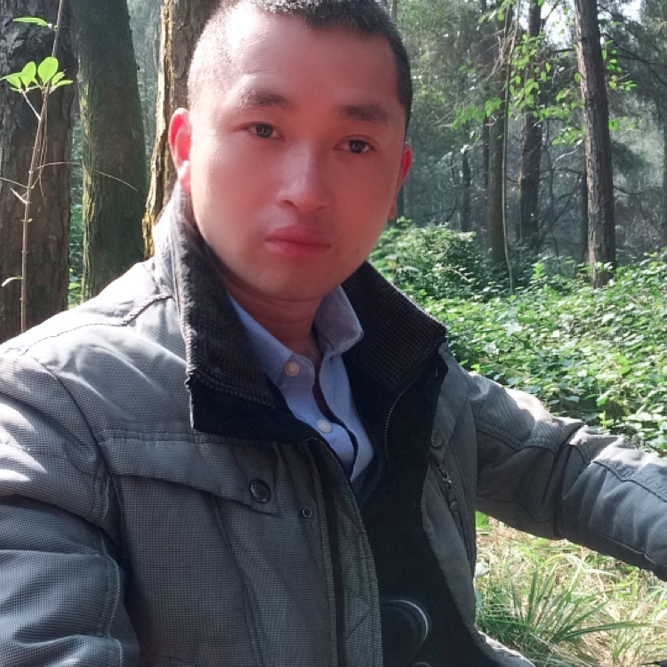 醉熏有灰的照片