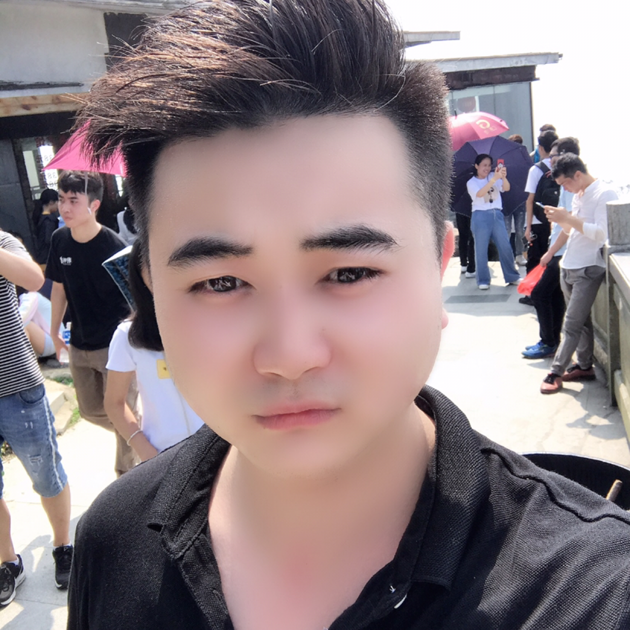 朴实演变菠萝的照片