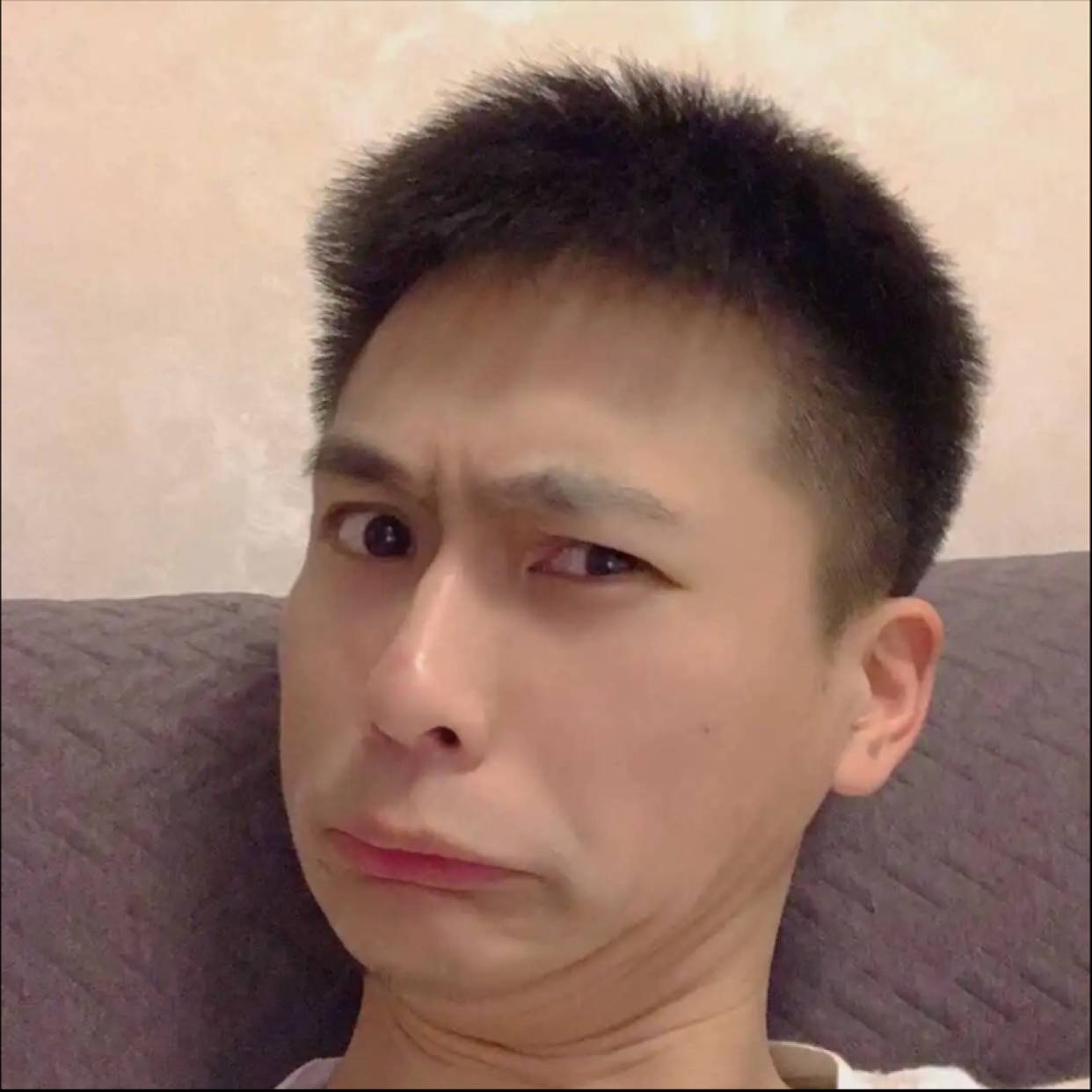 神勇豌豆射手的照片