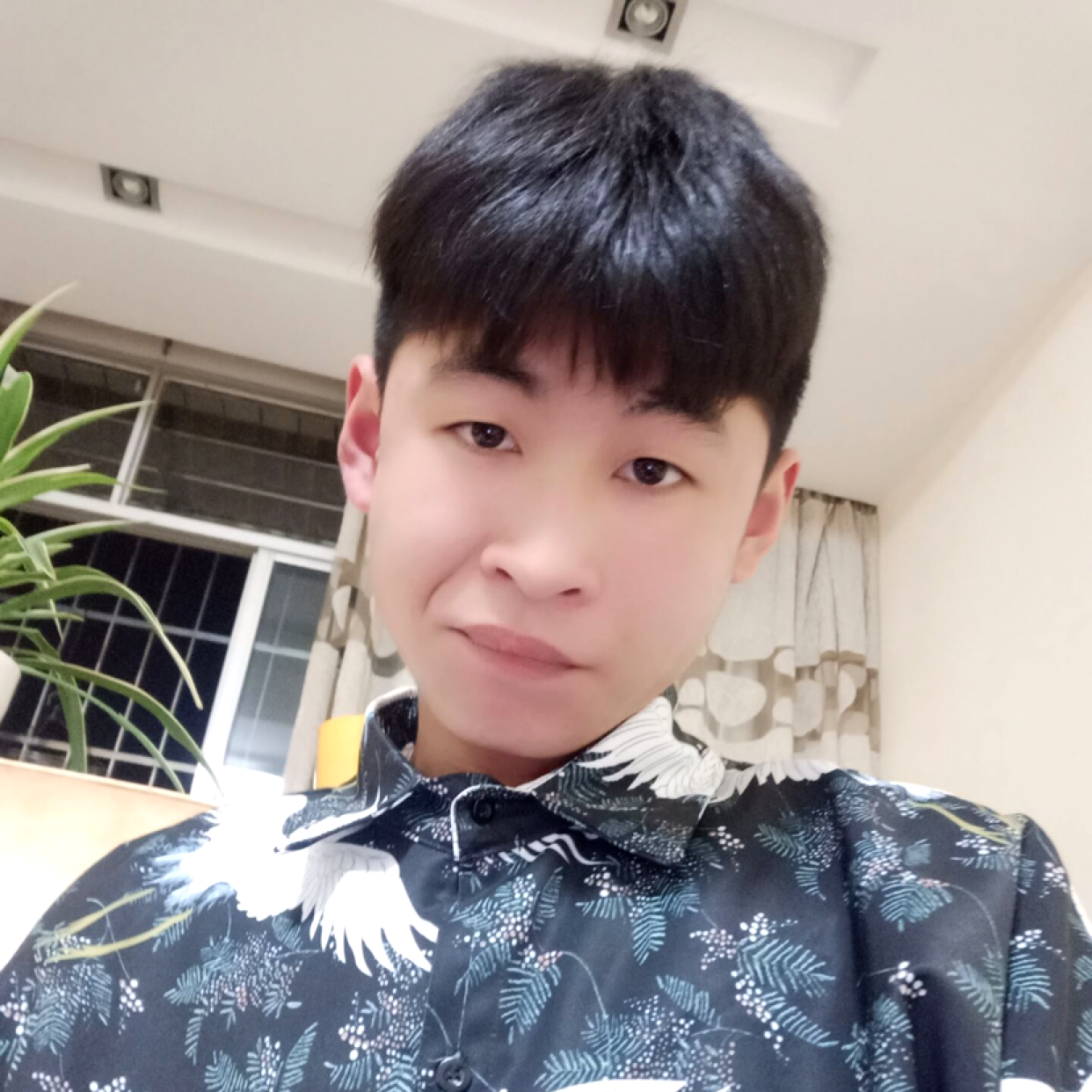 jun晓的照片