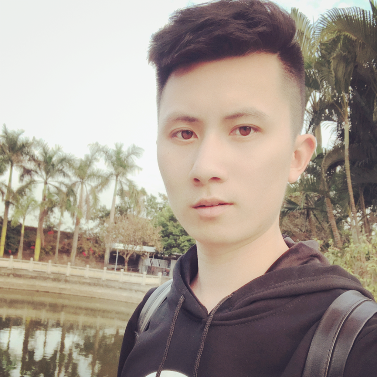 清脆放弃大象的照片