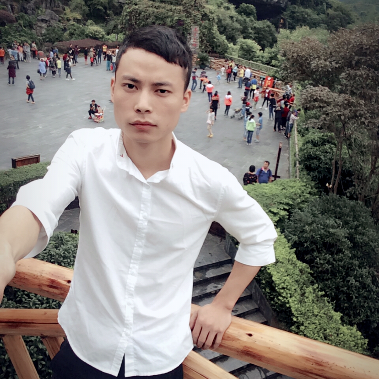 浮生回眸小天鹅的照片