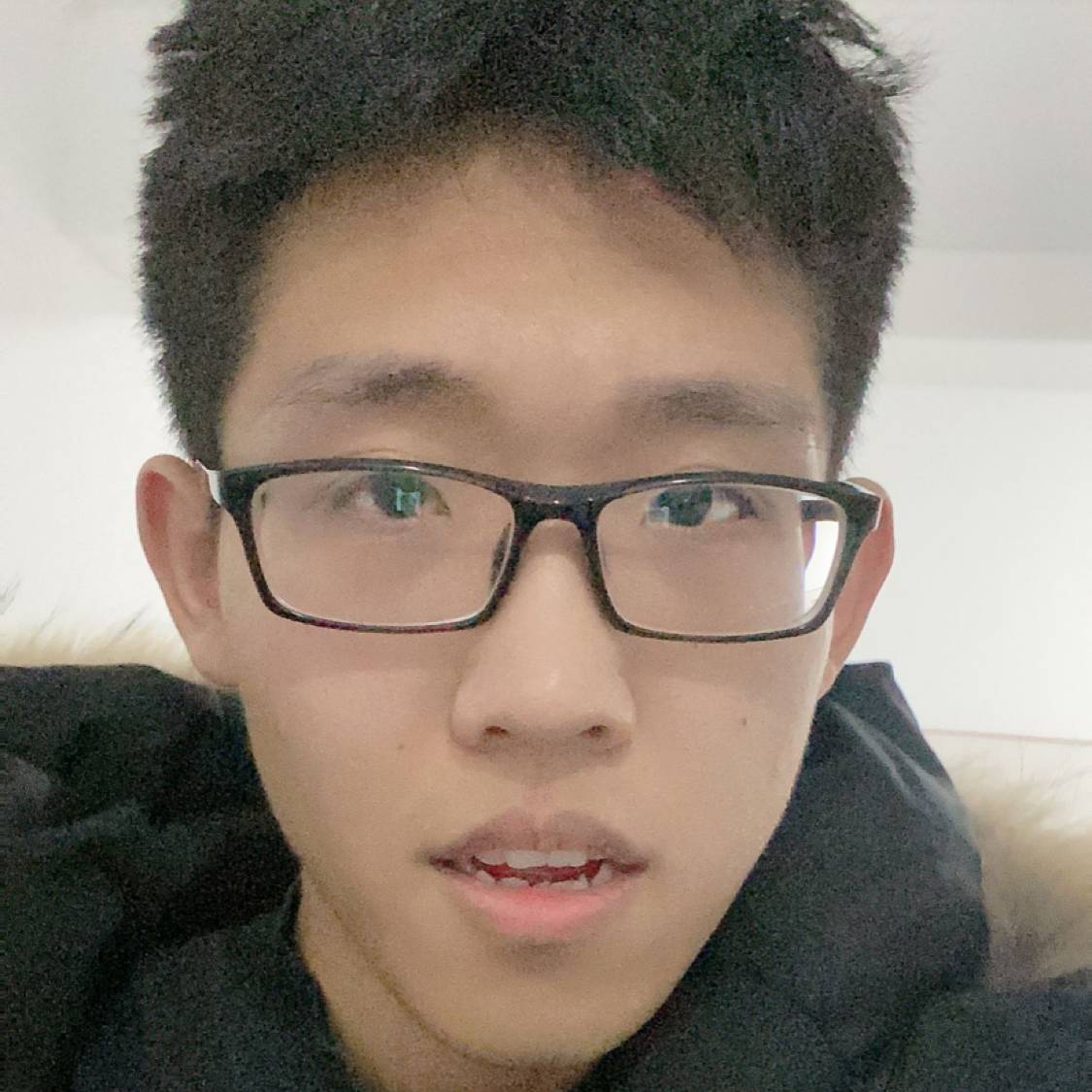 斯巴达小野猪的照片
