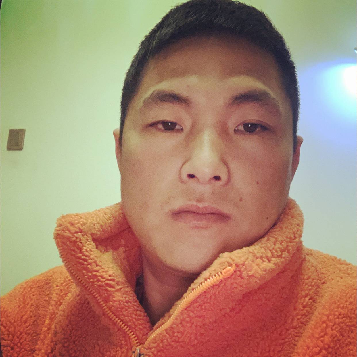 惊鸿深拥强健的照片