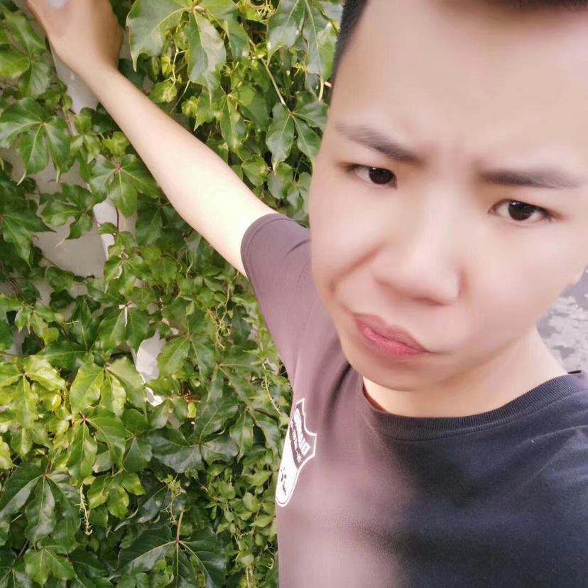 宝藏男孩的照片