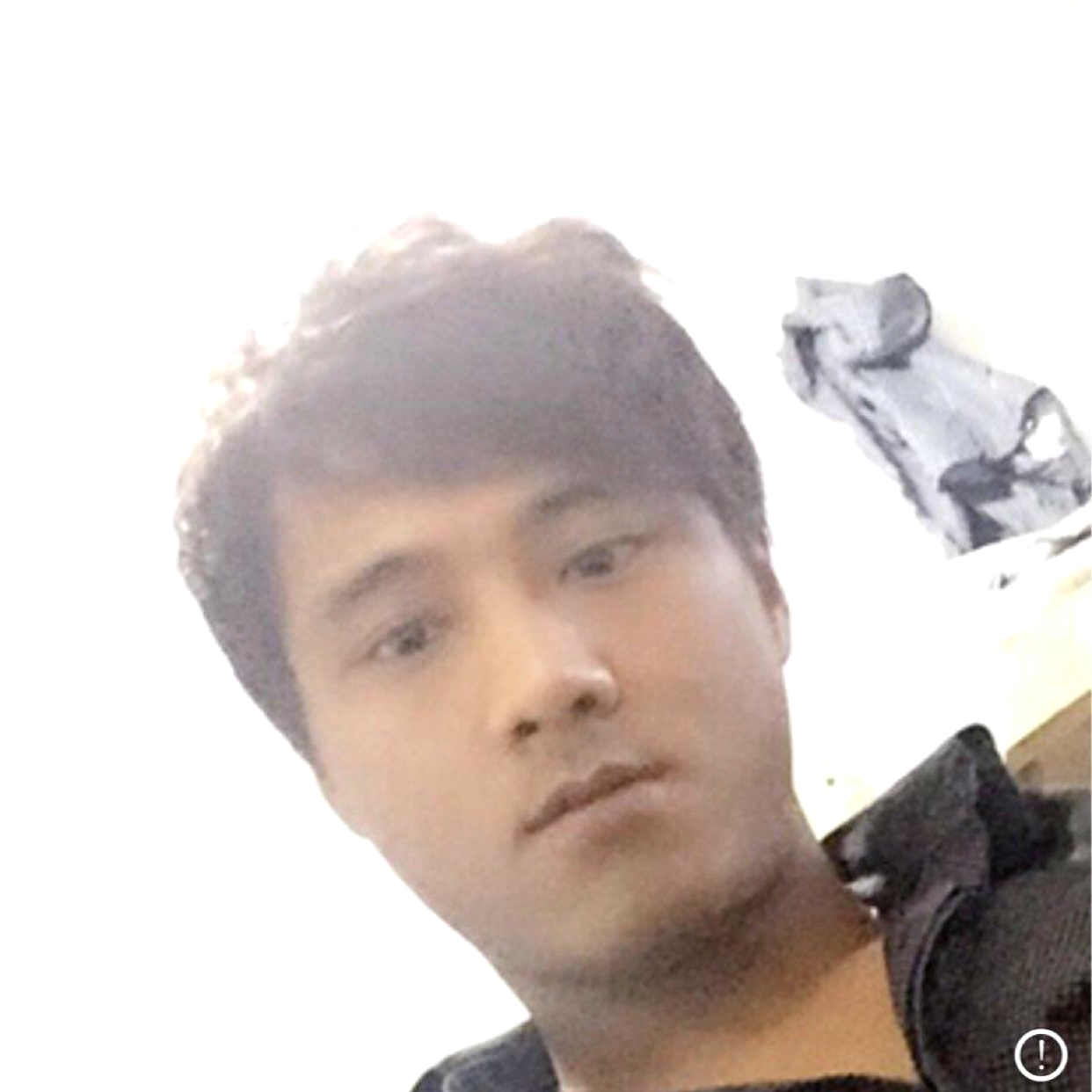 荷花深拥绚烂的照片