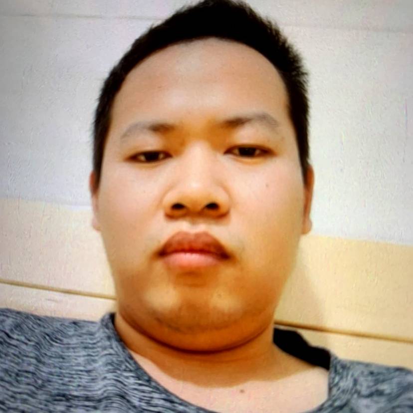 自觉蹁跹小海豚的照片