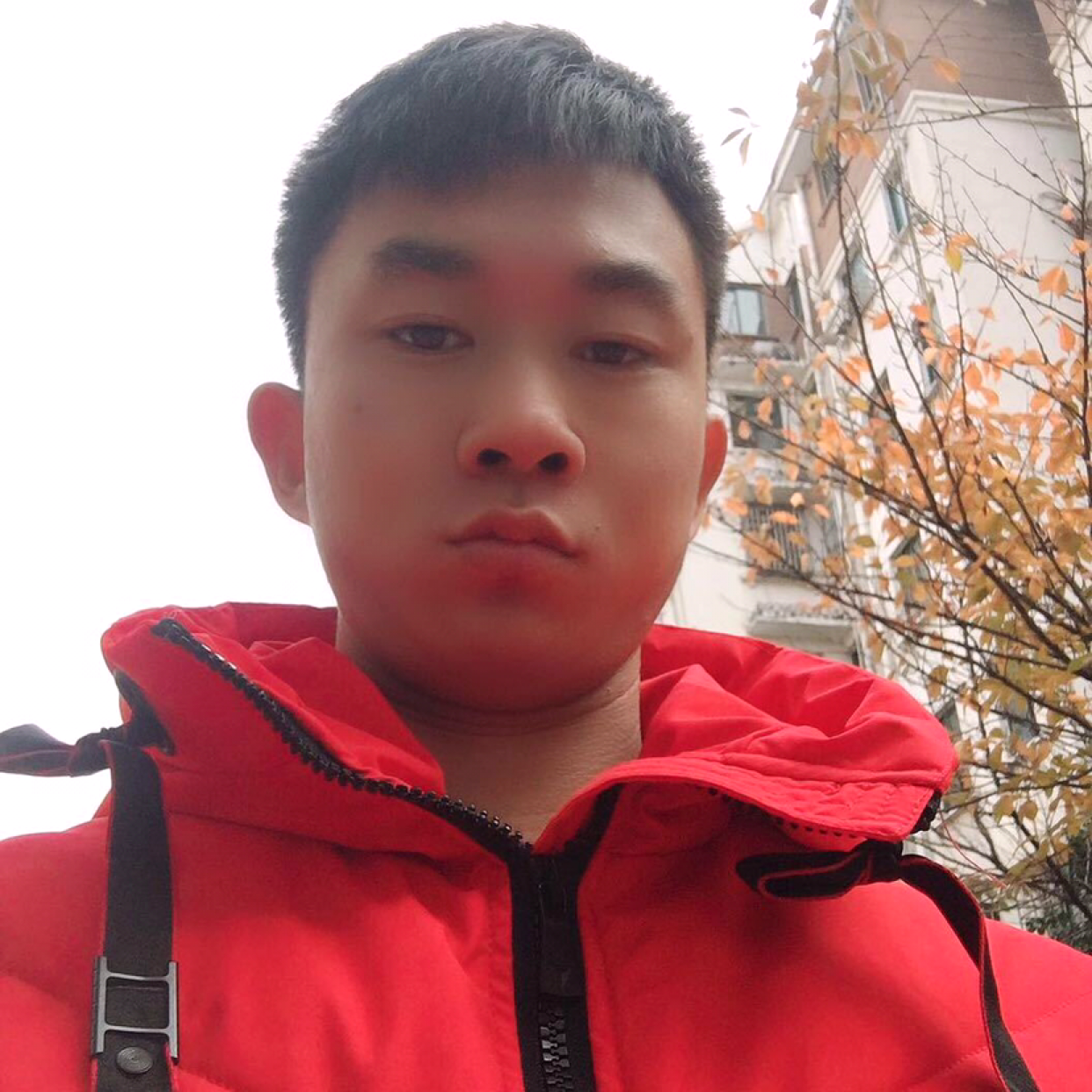 我爱你那人的照片