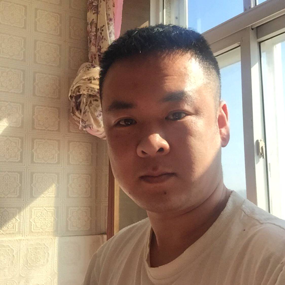 洋葱拾忆明媚的照片