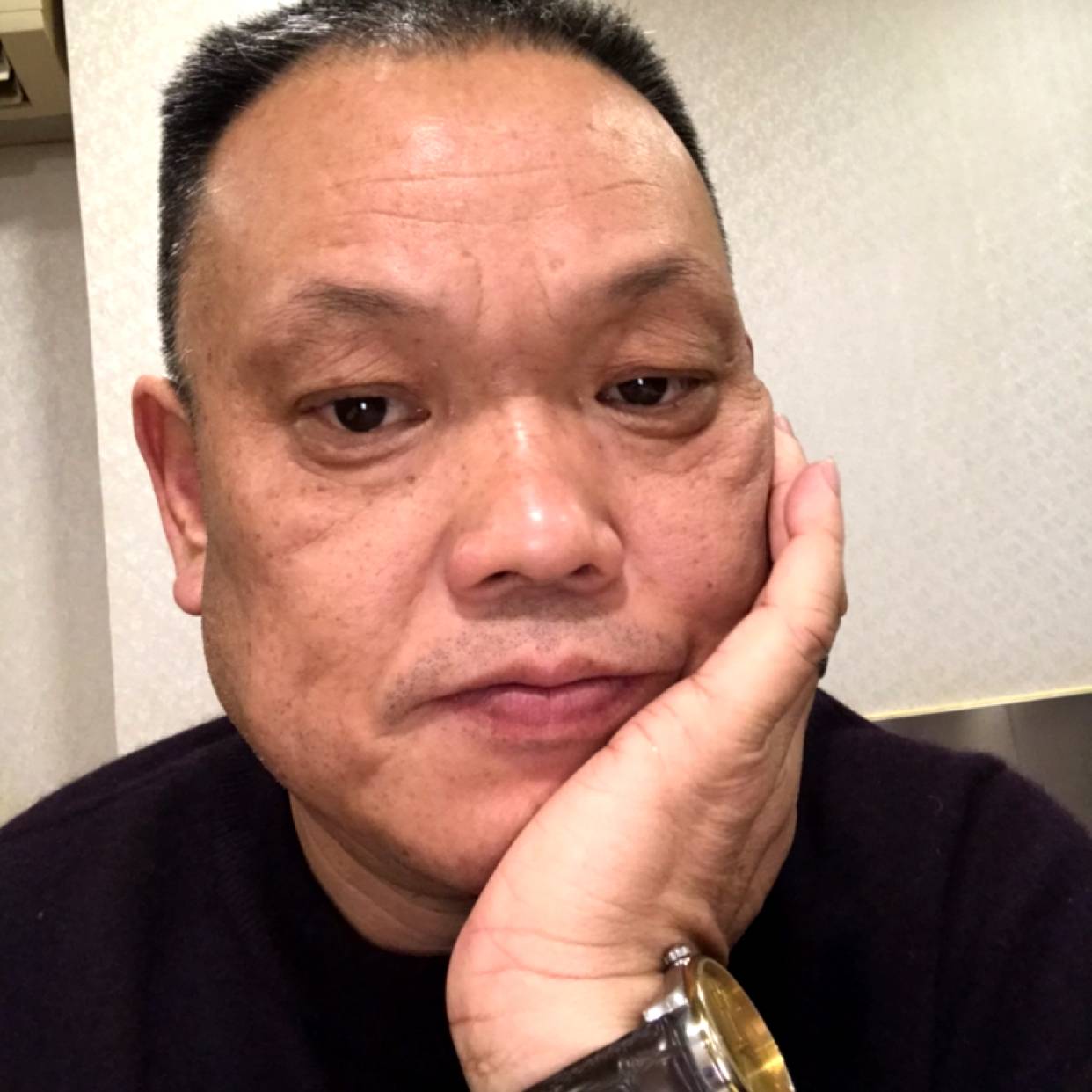 现代相许鸡的照片