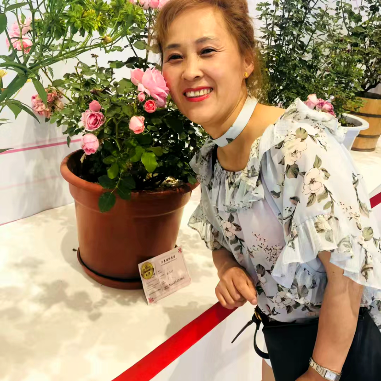 大胆深拥冬日的照片