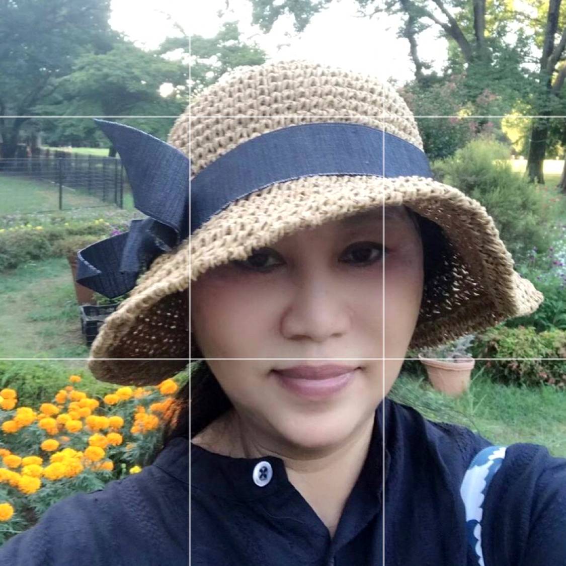 薰衣草牧场的照片