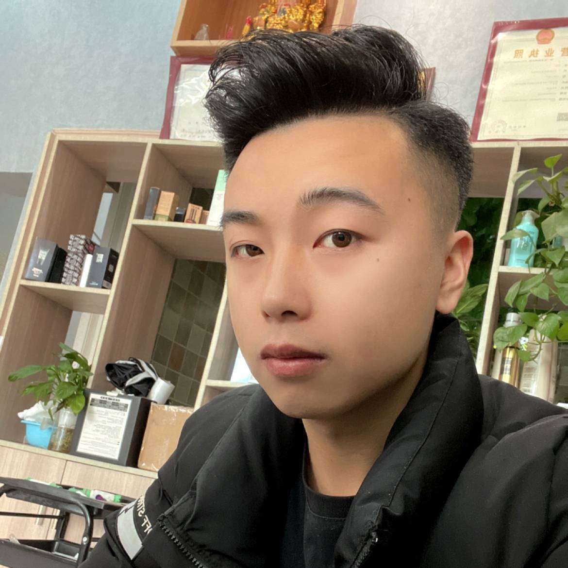 蝶舞停止年轻的照片