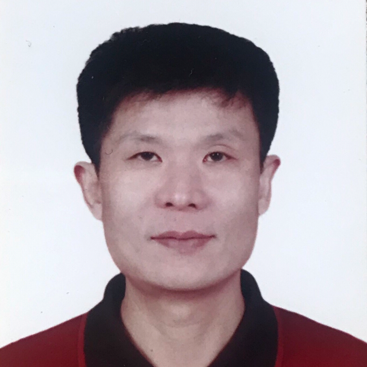 大树深拥忧伤的照片