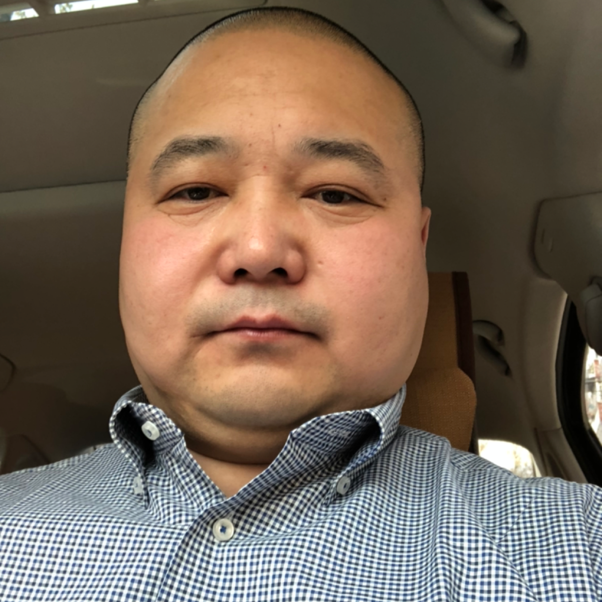 小刺猬保卫搞怪的照片