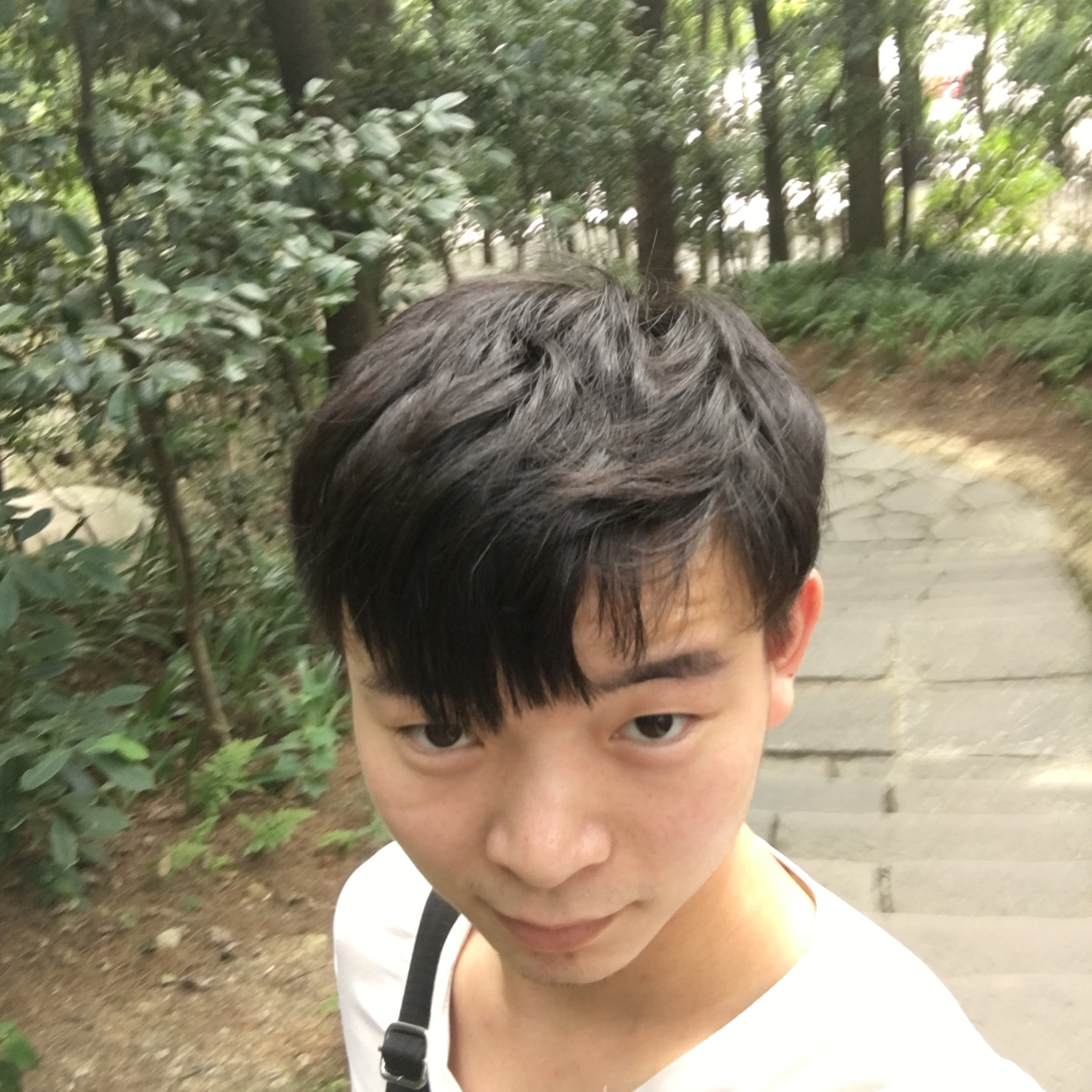 淡淡、时光的照片