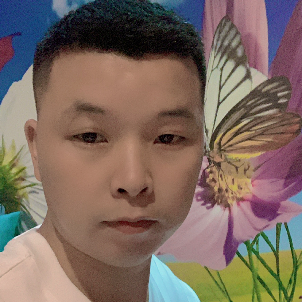 艾菲铁塔的照片