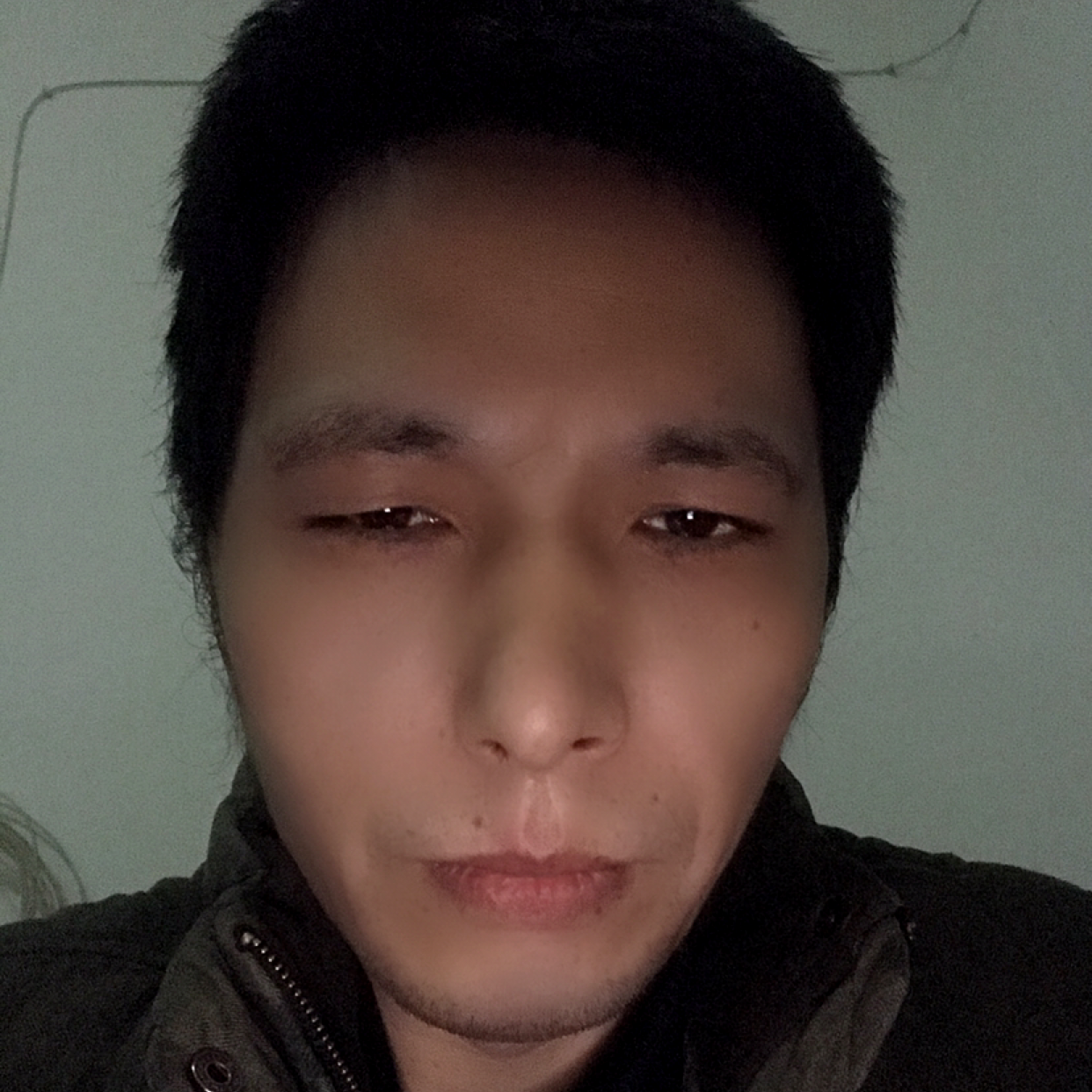 苗条相许壮观的照片